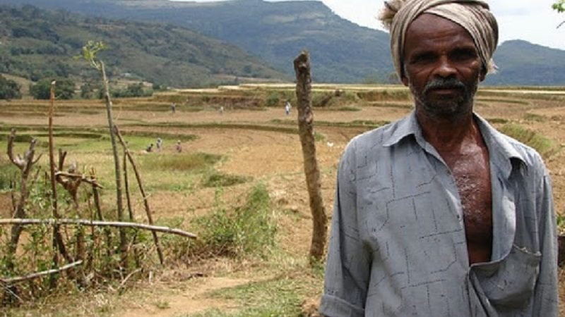 මැද කන්නය ගැන දෙඩිගියාවෙන්ද ? එසේ නම් මේ ලිපිය ඔබ වෙනුවෙන්මයි !
