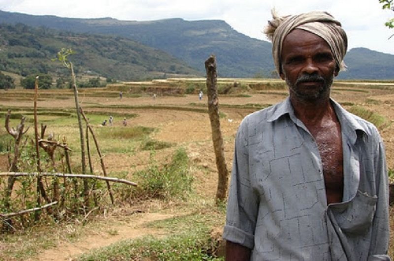 මැද කන්නය ගැන දෙඩිගියාවෙන්ද ? එසේ නම් මේ ලිපිය ඔබ වෙනුවෙන්මයි !