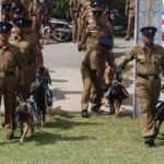 මහනුවර පොලිස් නිල සුනඛයින් වෙන්දේසි වුණු හැටි මෙන්න