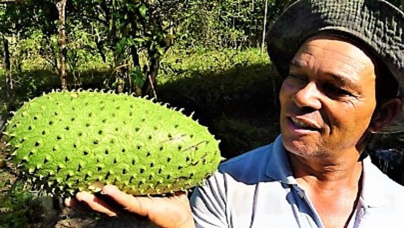 මල් පමණක් හිමි කටු අනෝදා ගස්වලින් ‘සරු ඵලදාවක් ගන්න’ රහස් මෙන්න