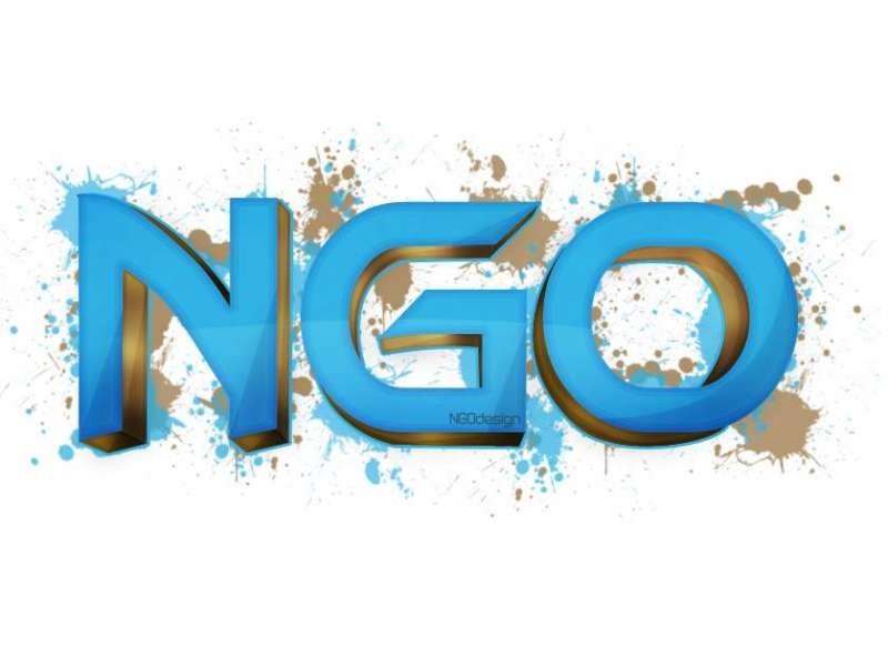 ස්වාධීන කොමිෂන් සභා ‘NGO ද ?