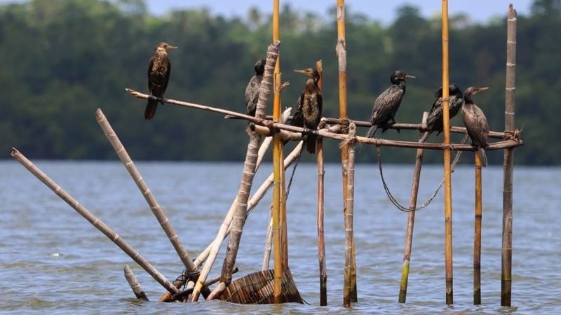 RSB වසරේ තරුණ ඡායාරූප ශිල්පියා: ලංකාවේ ‘අශ්වින් ගීර්තන්’