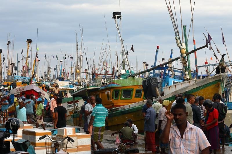 ධීවර වරායන් සඳහා සෞඛ්ය මාර්ගෝපදේශ