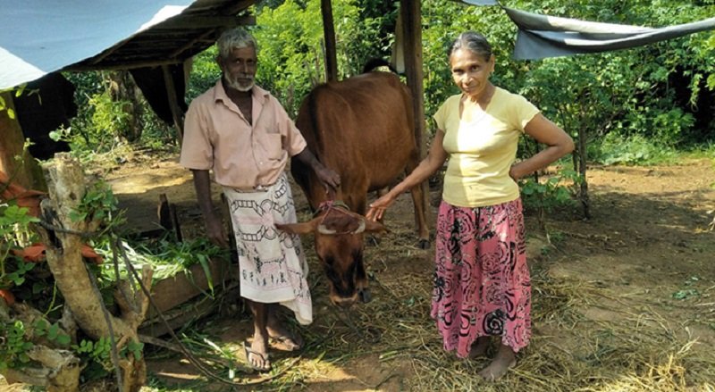 බස්නාහිර පළාතට රටේ සෙසු පළාත් සූරා කන්න තවදුරටත් ඉඩ දිය යුතු ද ?