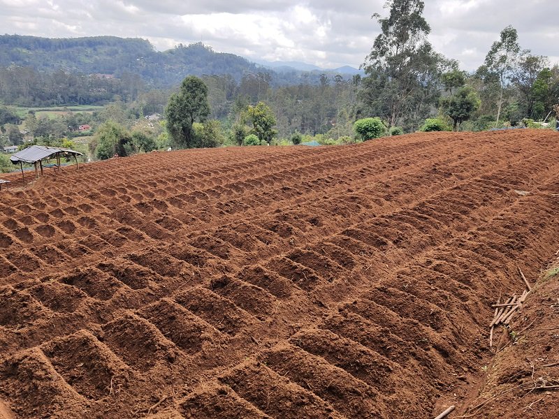 වැලිමඩ සානුවේ බිම් සැකසූ ගොවින්ට යන එන මං නෑ