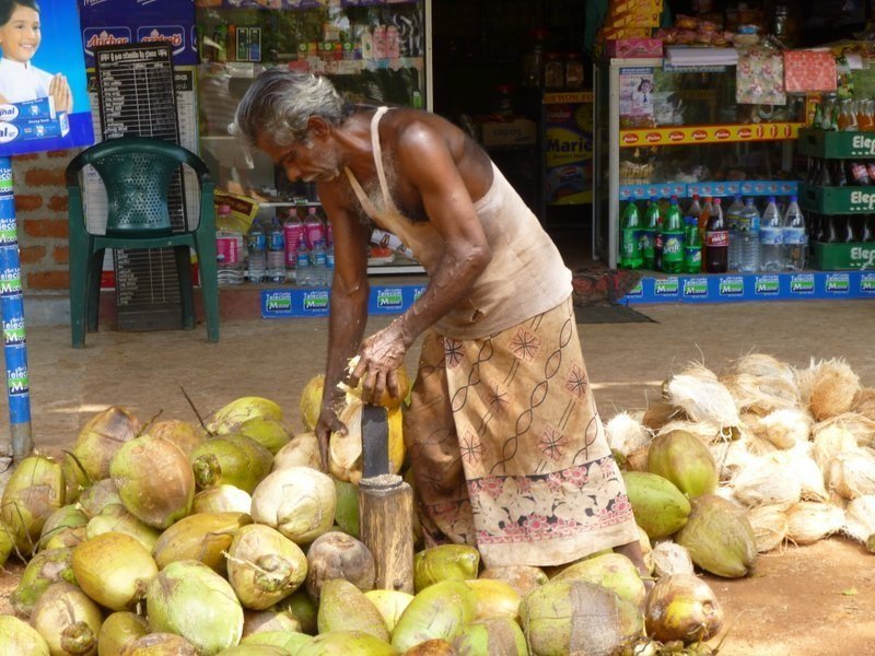 පොල් මිල හා තෙල් මිල තවත් ඉහළ යාමේ අවදානමක්