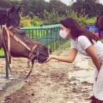 සතුන්ට ආදරය කරන ‘බොලිවුඩ් තරු’ ගැන සුපිරි කතා