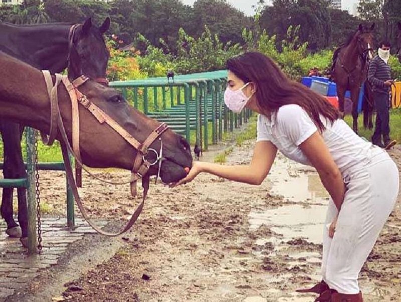 සතුන්ට ආදරය කරන ‘බොලිවුඩ් තරු’ ගැන සුපිරි කතා