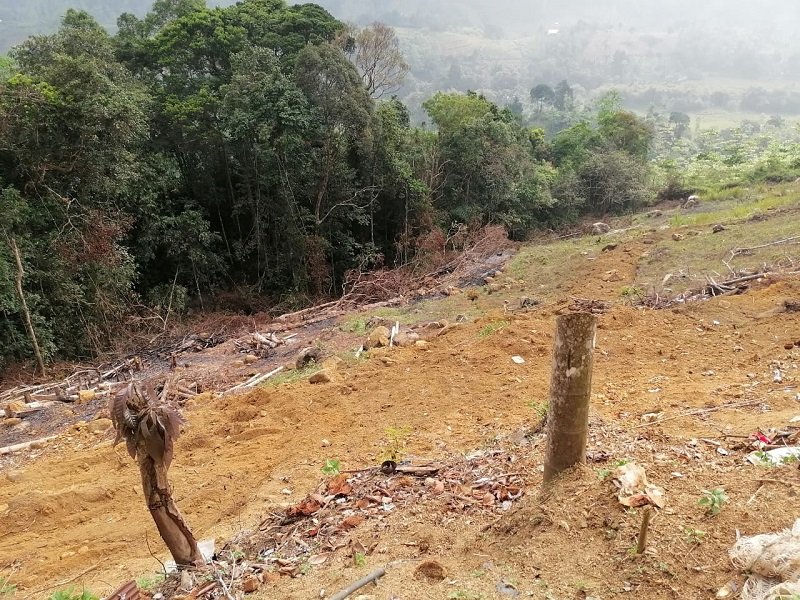 සෞභාග්‍යයේ දැක්ම හාස්‍යයට: ‘දෙල්ගොඩ රක්ෂිතයේ’ මහා වන විනාශයක්