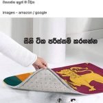 ශ්‍රී ලංකා ධජය පාපිස්නයක – සමාජමාධ්‍ය වලින් සුපිරි ප්‍රතිචාර