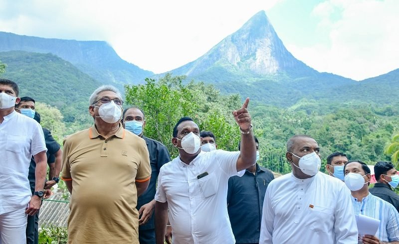 දුම්බර අඩවියේ ‘එනසාල් වගාවට අවසර දීම’ – පරිසර සංරක්ෂණයේ මළගම ද ?