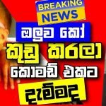 දිලිනි යසෝදරා ඝාතනය සහ තවත් කතා – තිරිසන් මිනිසුන් නොසිටි අපේ රට