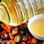 වහාම ක්‍රියාත්මක වන පරිදි ‘පාම් ඔයිල්’ ආනයනය තහනම්