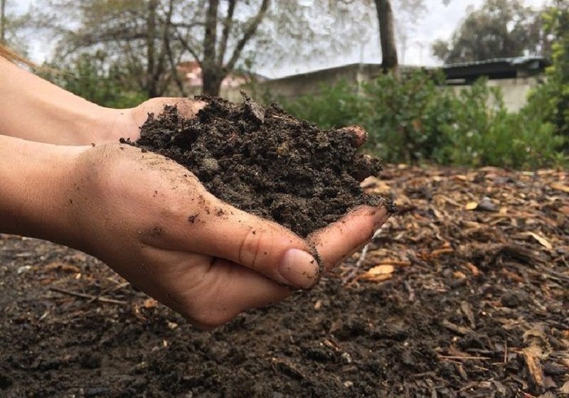 කාබනික ගොවිතැන දේශපාලන තීරණයක් ද ? විද්‍යාත්මක තීරණයක් ද ?