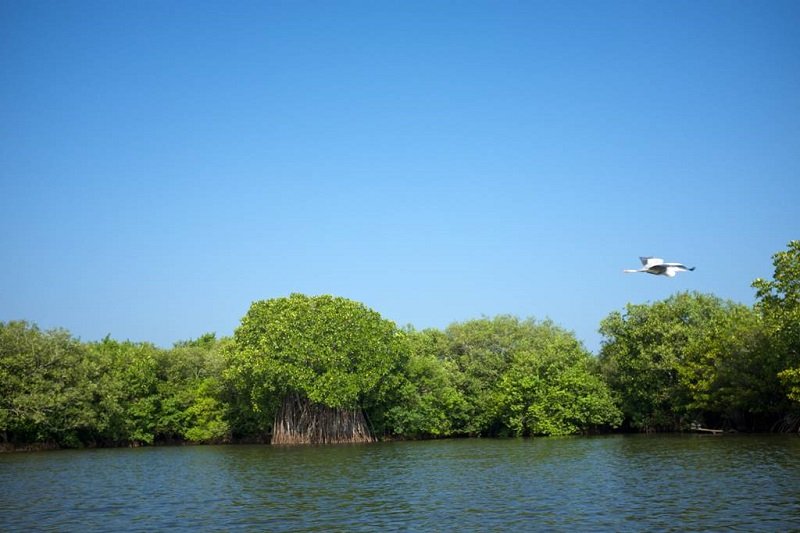 වරාය නගරය නගරයට සහ කොළඹට විදුලිය දෙන්න මුතුරාජවෙල ගොඩකරයි – සම්පූර්ණ හෙළිදරව්ව !