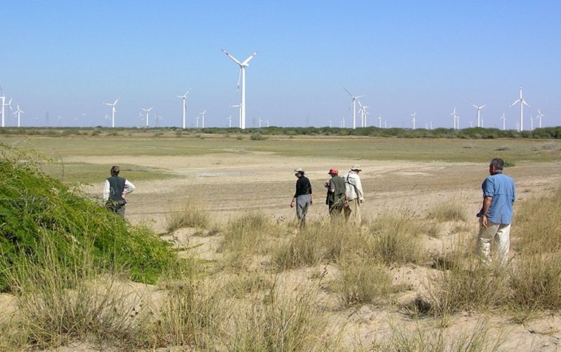 ‘ඉන්දු – ඇමෙරිකා පුනර්ජනනීය බලශක්ති සහයෝගීතාව‘ පුළුල් කිරීමට කේරී ඉන්දියාවට