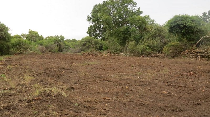 නායක හිමිනමක් ව්‍යාපාරිකයින් හා එක්ව විහාර නින්දගම් වනාන්තරයක් වනසා දමයි