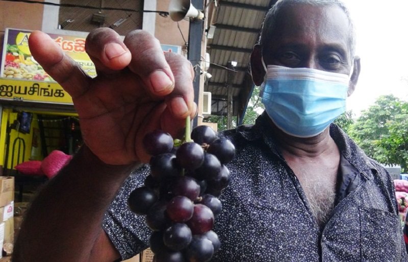 Dabulla Market Hot: යාපනේ මිදී වලට ඉහළ ඉල්ලුමක්