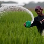රසායනික පොහොර යථාර්ථය