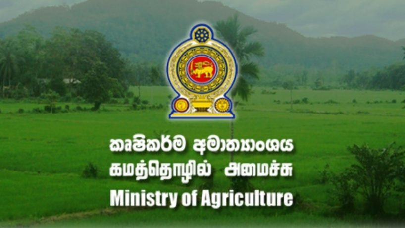 විකුණාගත නොහැකි මුං අස්වැන්න මිලට ගන්න දිසාපතිවරුන්ට රජයෙන් මුදල් දෙයි
