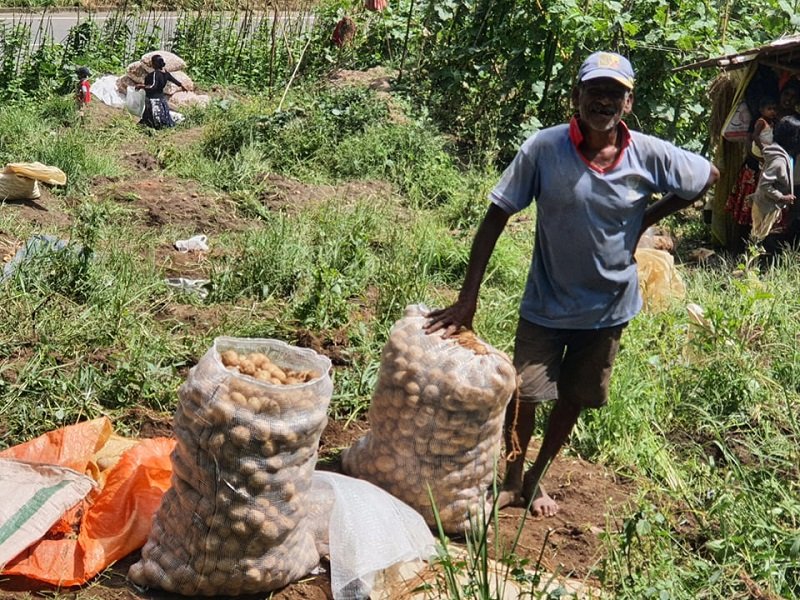 පොල් වගේ අල බැස්ස වැලිමඩ අද දෙහි වගේ අල ඇයි ?