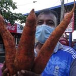 රසායනික පොහොර තහනම ඉවත් කළ විටම ‘දඹුල්ලට සුපිරි එළවළු තොග‘ ආවේ කොහොමද ?