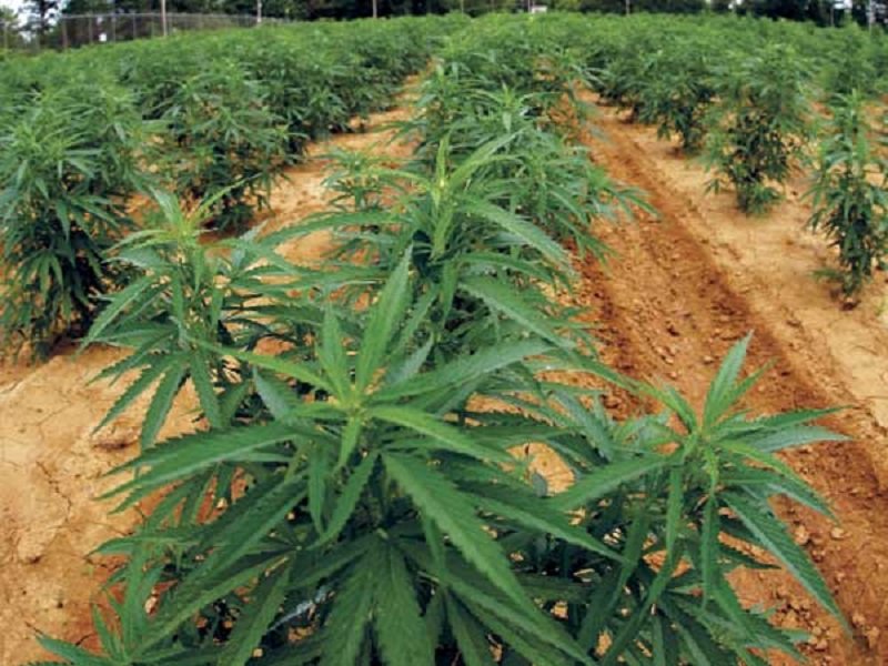 විදේශ විනිමය හොයන හැටි ඩයනා ආණ්ඩුවට යළි කියා දෙයි