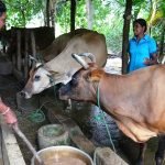 බර ඔසවා මවුබිම රනින් සැරසූ ‘ශ්‍රීමාලිගේ මව සහ පියා හෙළිකළ‘ සංවේදී කතාව