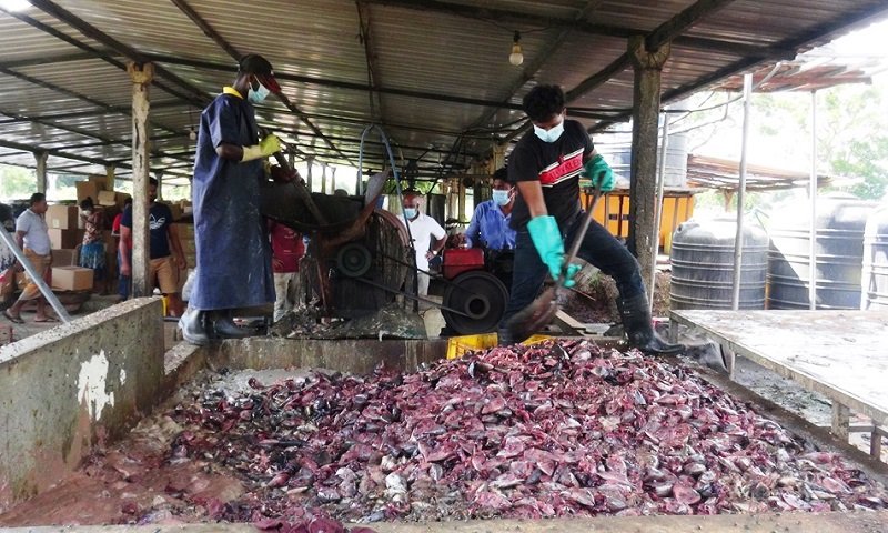 කාබනික දියර පොහොර පුපුරන හේතු සොයා නිෂ්පාදනාගාරයට ගිය ගමන