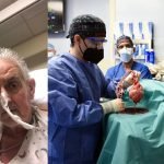 ලොව ප්‍රථම වරට ජාන වෙනස් කළ ඌරු හදවතක් මිනිසකුට බද්ධ කෙරේ