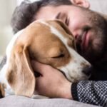 සුරතල් සතුන් නිසා ‘අඹු-සැමි සබඳතා’ විනාශ විය හැකි ද ? – විශේෂ හෙළිදරව්ව