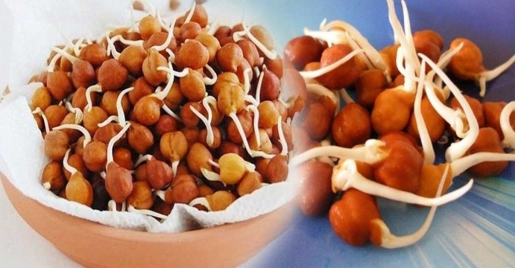 පොඟවා ගත් කඩල උදෑසන හිස් බඩ ආහාරයට ගැනීමෙන් ලැබෙන ප්‍රයෝජන