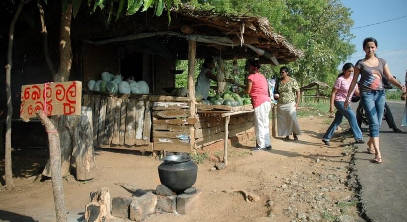 සංවර්ධනයේ පසුගාමී බලවේග යටපත් කිරීමට අවිධිමත් කළමණාකරණයෙන් බැහැරවෙමු