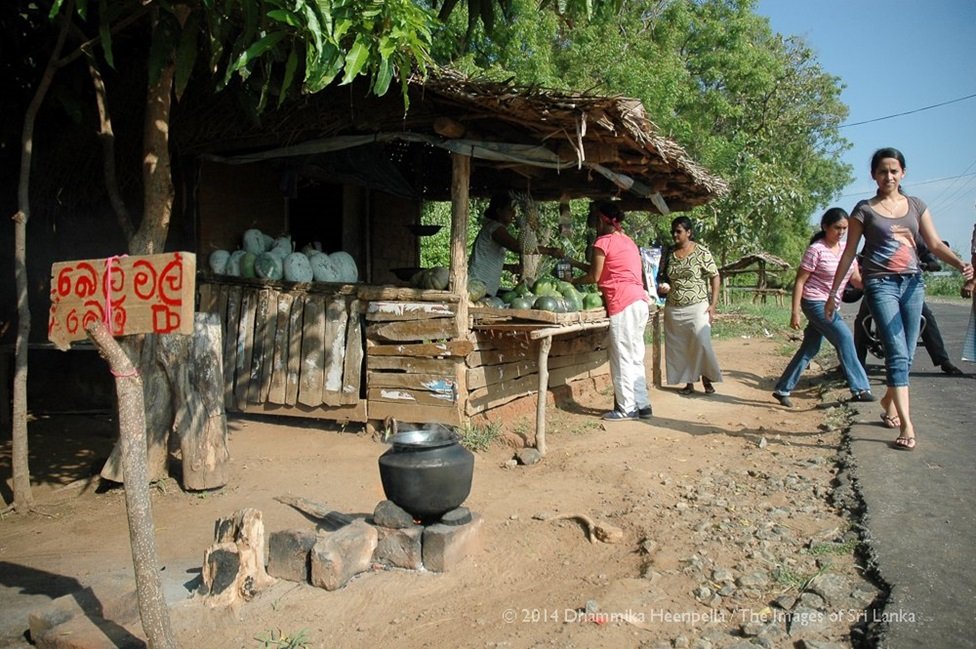 සංවර්ධනයේ පසුගාමී බලවේග යටපත් කිරීමට අවිධිමත් කළමණාකරණයෙන් බැහැරවෙමු