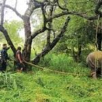 අලි – මිනිස් ගැටුම සහ ආණ්ඩුව සැනසීමට ඉහළ නිලධාරීන් ගන්නා ‘සුපිරි ගොබ්බ තීන්දු’