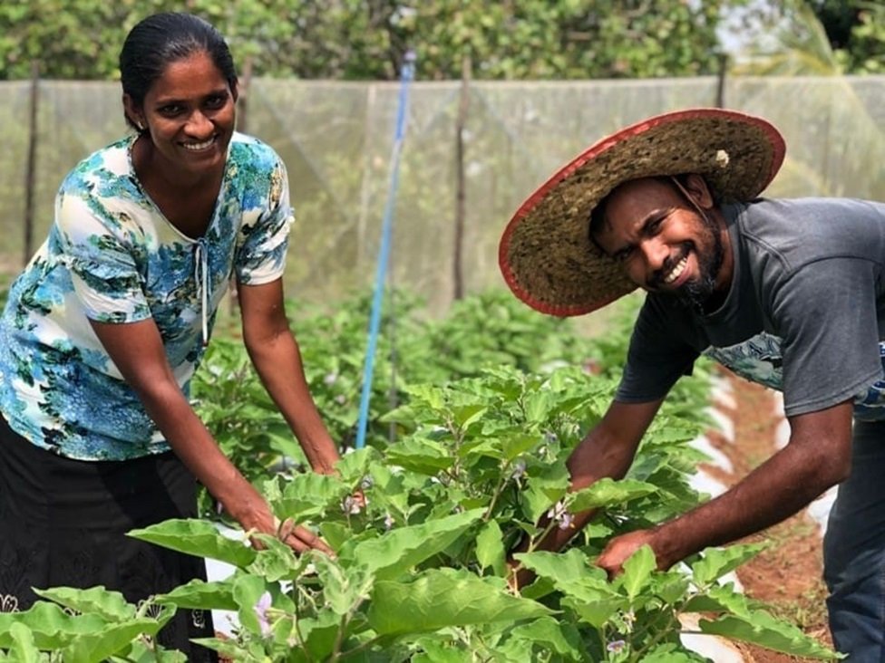 SMEs Guide SL: ශ්‍රී ලංකාවේ කෘෂි ව්‍යවසායකත්වය ප්‍රවර්ධනය කිරීම – අවශ්‍යතාව, අභියෝග සහ ගත යුතු පියවර මොනවාද ?