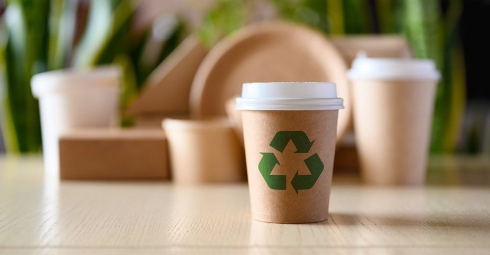 කඩදාසි කෝප්පවල තේ සහ කෝපි පානය සෞඛ්‍යයට කරන බලපෑම හෙළිවෙයි