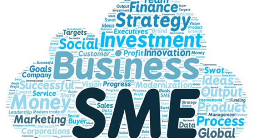 ‘පරාටේ නීතිය’ ක්‍රියාත්මක කිරීමේදී SMEs මුහුණ දෙන ගැටලු අවම කිරීමට කමිටුවක්