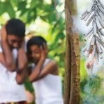 අලුත් අවුරුදු සමයේ ‘ගිනිකෙළි අනතුරුවලින්’ දෙනෙත් රැක ගන්නේ කෙසේ ද ?